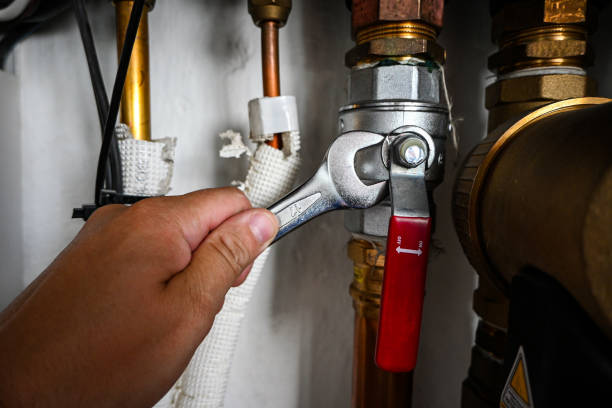 Best Same-Day Plumbing Service  in Carlisle, PA